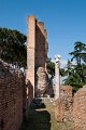 0498Foro Palatino